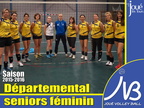 senior Départemental Féminin - Saison 2015-2016