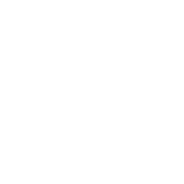 FFVolley